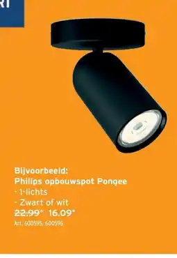 GAMMA Philips opbouwspot Pongee -1-lichts aanbieding