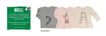 Achterkant