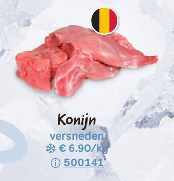 Bon Ap Konijn aanbieding