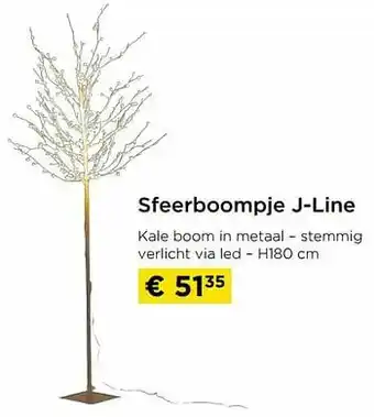 Molecule Sfeerboompje j-line aanbieding