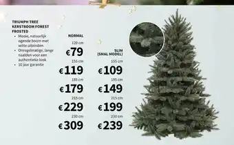 Horta Triumph Tree Kerstboom Forest Frosted aanbieding