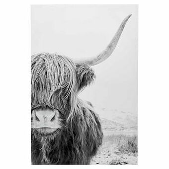 Kwantum Canvas Hooglander Grijs aanbieding