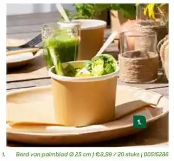 AVA Bord van palmblad 25cm aanbieding