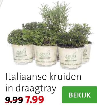 Intratuin Italiaanse kruiden in draagtray aanbieding