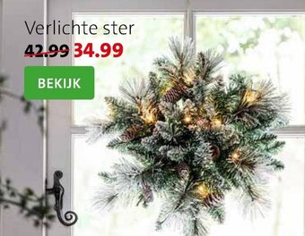 Intratuin Verlichte ster aanbieding