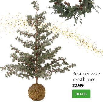 Besneeuwde kerstboom