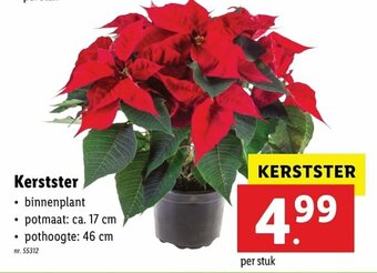 Lidl Kerstster aanbieding