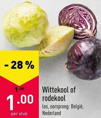 ALDI Wittekool of rodekool aanbieding