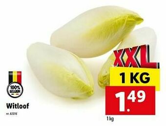 Lidl Witloof aanbieding