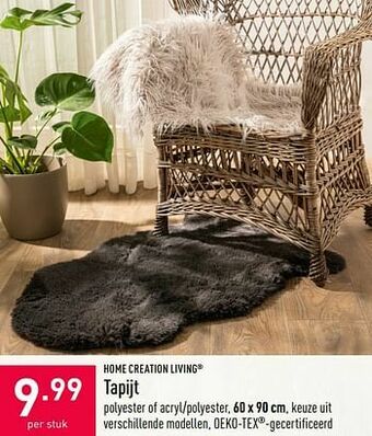 ALDI Tapijt aanbieding