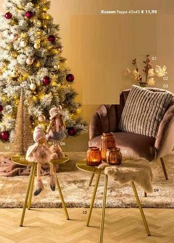 Europoint Kussen peppe aanbieding