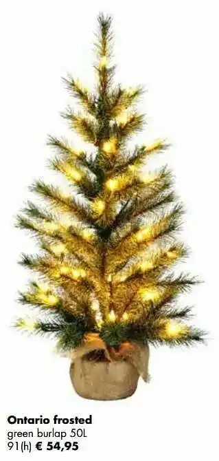 Kerstboom ontario frosted