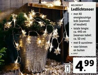 Lidl Melinera ledlichtsnoer aanbieding