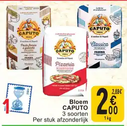 Cora Bloem caputo aanbieding