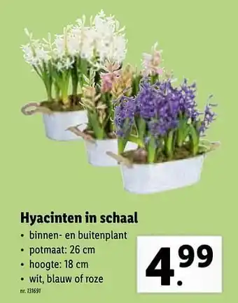 Hyacinten in schaal