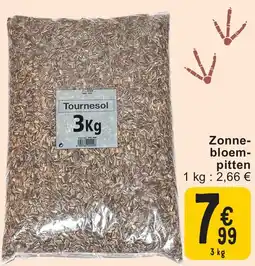 Zonnebloempitten