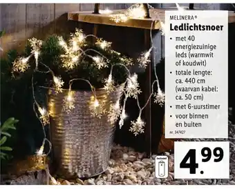 Lidl Melinera Ledlichtsnoer aanbieding