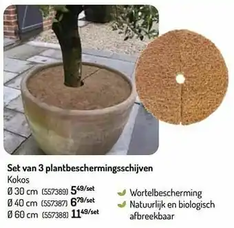 Oh Green Set van 3 plantbeschermingsschijven kokos aanbieding
