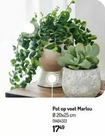 Pot op voet marlou