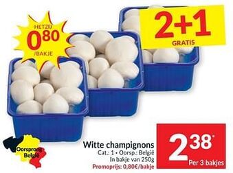 Witte champignons