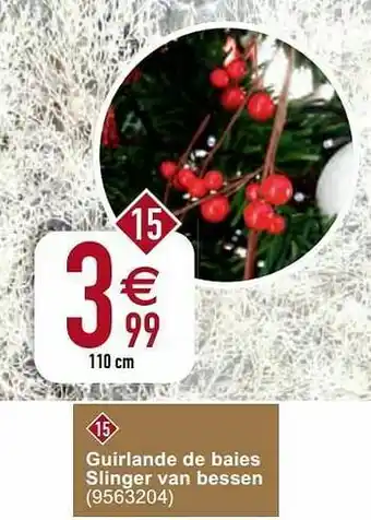 Guirlande de baies slinger van bessen
