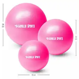 Decathlon Mini Pilates Bal - 28 cm - Roze aanbieding