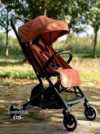 Buggy comfort rust