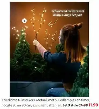 Verlichte tuinstekers