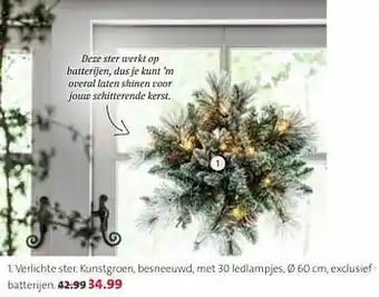 Intratuin Verlichte ster aanbieding