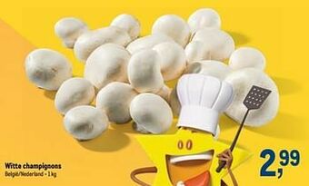 Witte champignons