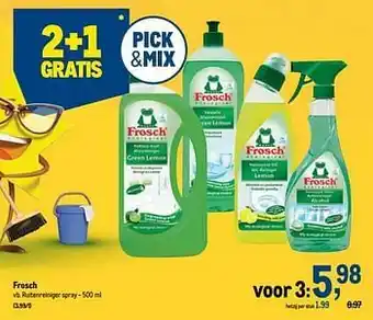Frosch ruitenreiniger spray