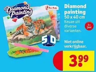 Kruidvat Diamond painting 50x40cm aanbieding