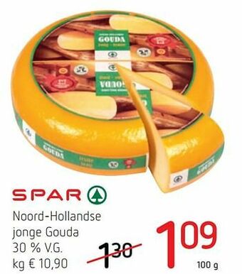 Noord-hollandse jonge gouda