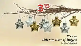 12x ster