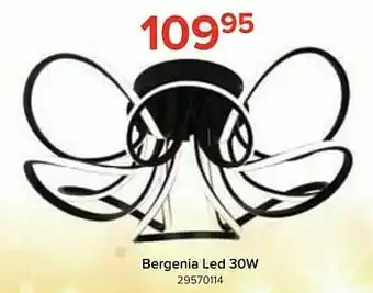 Euroshop Bergenia led 30w aanbieding