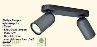 Philips pongee opbouwspots
