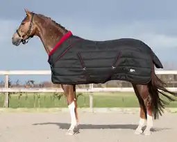 Decathlon Paarden staldeken QHP Luxury Collection 200g aanbieding