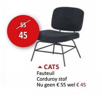 Cats fauteuil