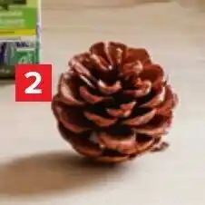 Carrefour Etherische olie lavendel bio aanbieding