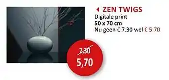 Zen twigs digitale print 50 x 70 cm