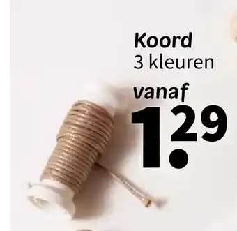 Wibra Koord aanbieding