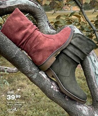 Bristol Laarzen - linea loresi aanbieding