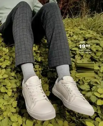 Bristol Broek - checker aanbieding