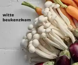 Spar witte beukenzwam aanbieding