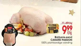 Cora Barbarie-eend CANARD PASSION aanbieding