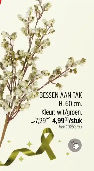 Brico BESSEN AAN TAK H. 60 cm aanbieding