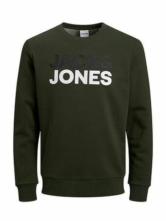 Jack & Jones Sweater Jac&jones Trui Logo - Groen