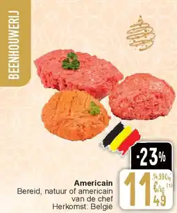 Cora Americain Bereid , natuur of americain aanbieding