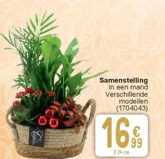 Cora Samenstelling aanbieding