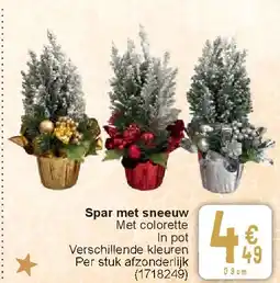 Cora Spar met sneeuw aanbieding